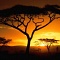 10 заблуждений об Африке