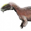 Найден самый крупный пернатый динозавр