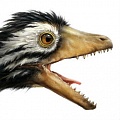 Динозавры ели первых птиц