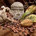 Майя готовили блюда из шоколада еще в незапамятные времена