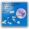 Лунный календарь для растений и рассады по дням на март 2024