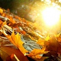 Все, что вы хотели бы знать о дне Осеннего равноденствия