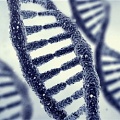 Создана новая форма жизни с искусственным ДНК