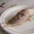 В Южно-Китайском море выловили странную бронированную рыбу