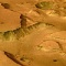 Археологические раскопки на Марсе по земным методам