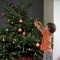 10 полезных советов, как сохранить новогоднюю елку