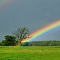 7 удивительных фактов о радуге