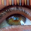 50 занимательных фактов о глазах