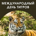 Международный день тигра 