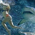 Туристка отбилась от акулы, применив силовые приёмы