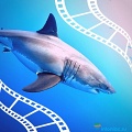 20 лучших художественных и документальных фильмов про акул, от которых вы содрогнётесь