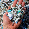 Чем грозит пластиковый мусор в океане?