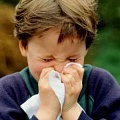 У детей, рожденных осенью, выше риск аллергии
