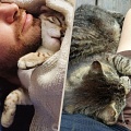 4 причины, почему кошка спит у головы, в ногах или рядом с человеком