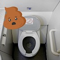 Что происходит с отходами в туалете самолета после смыва
