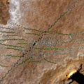 Найдены уникальные следы древних слонов