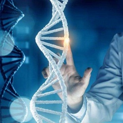Научитесь говорить со своей ДНК, чтобы вернуть здоровье